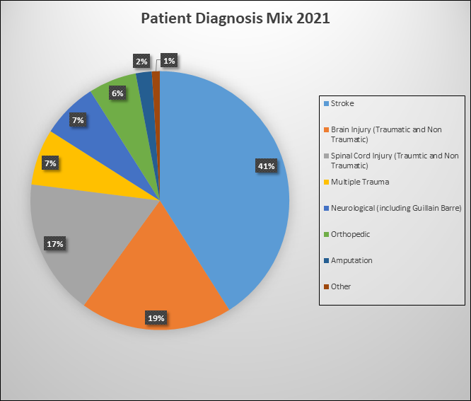 Patient Diagnosis Mix Pie Chart Patient Diagnosis Mix Pie Chart